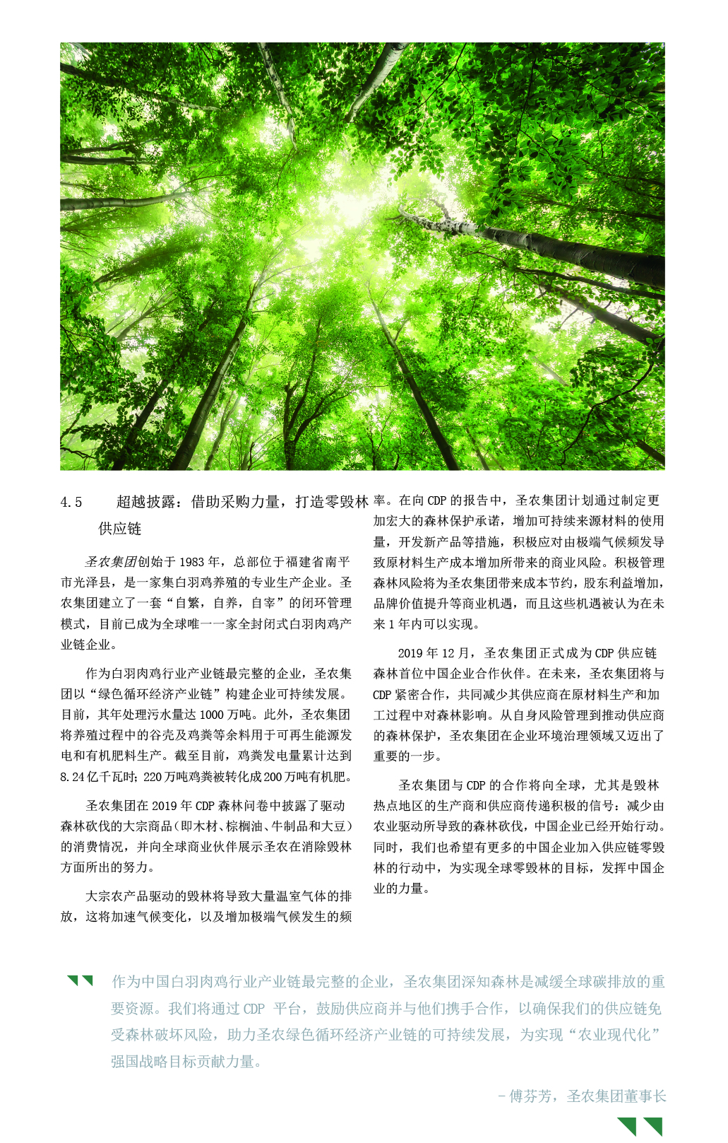 20200804103758 28圈-28圈平台官方网站-相信品牌的力量