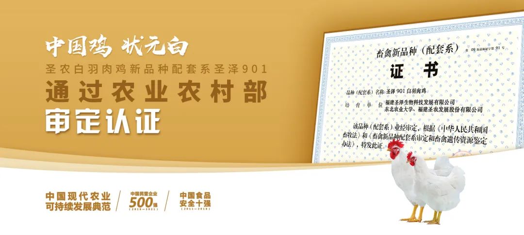 20220322152022 28圈-28圈平台官方网站-相信品牌的力量